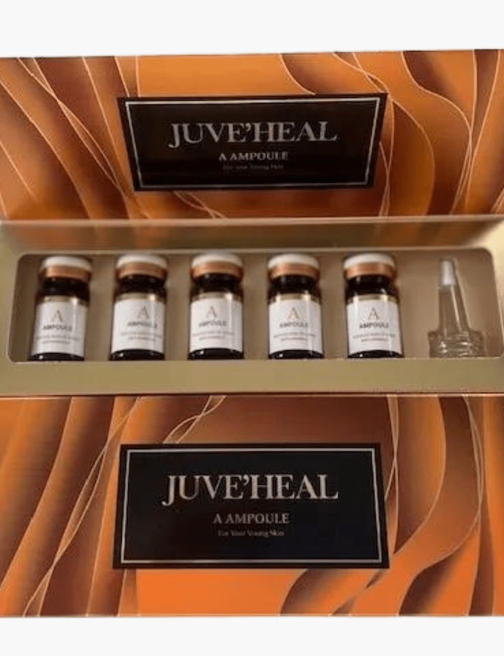 Design Sans Titre 2024 02 12t203403.692.png